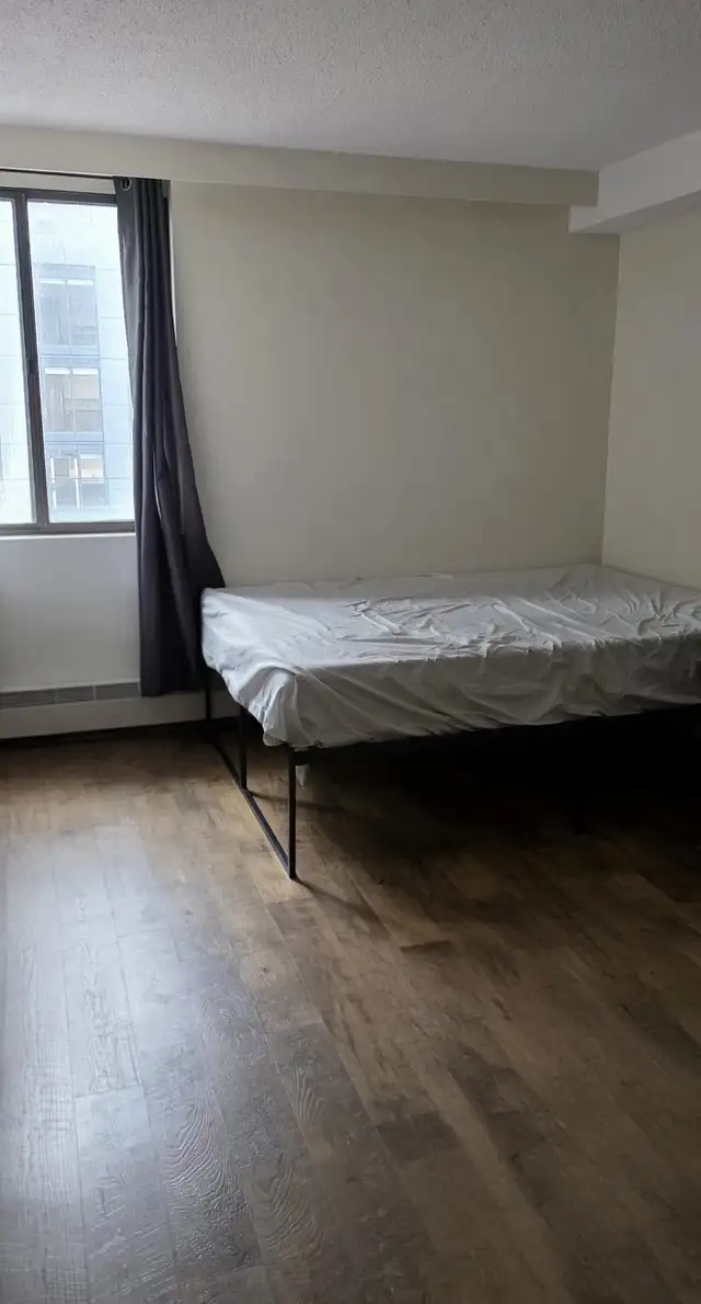 Whole 1 BHK  Apartment for sublet (Short-term) - Photo 3