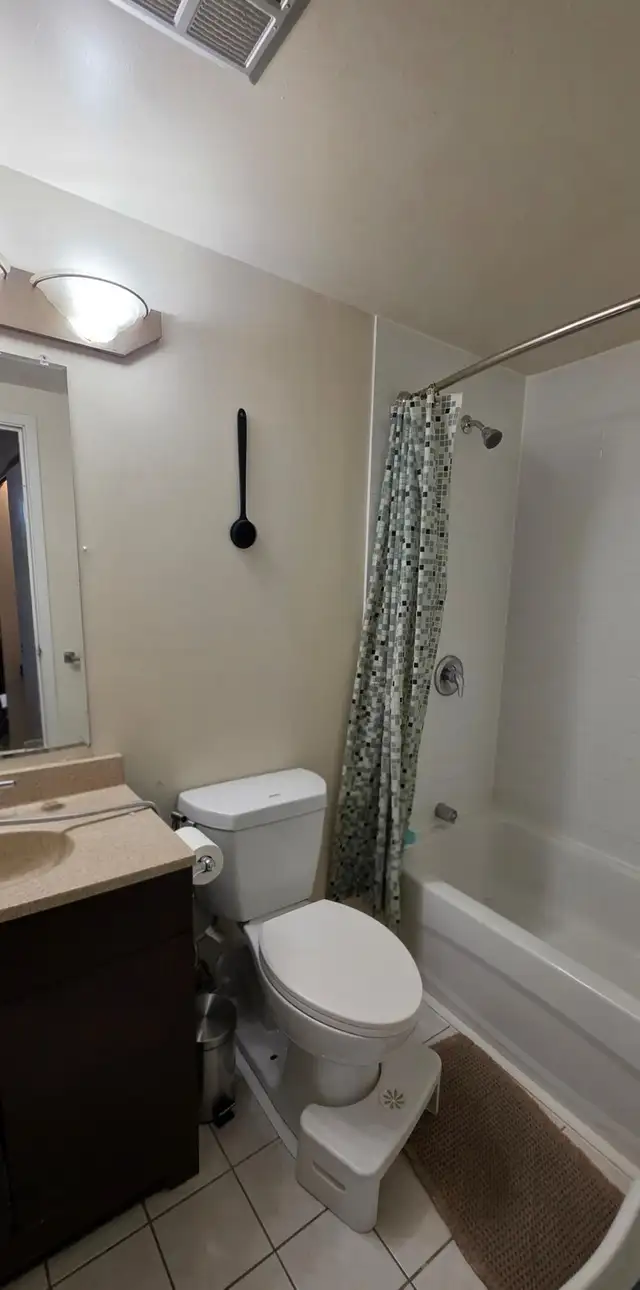 Whole 1 BHK  Apartment for sublet (Short-term) - Photo 4