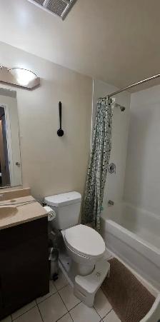 Whole 1 BHK  Apartment for sublet (Short-term) - Photo 4