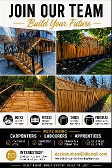 carpenter / framer  needed