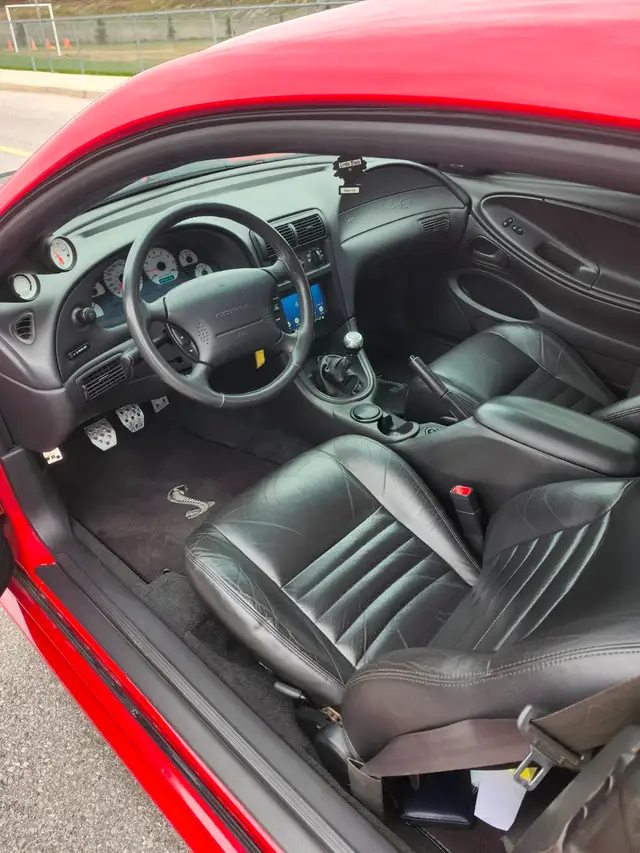 99 FORD MUSTANG SVT COBRA - Photo 6