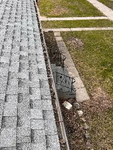 Affordable Gutter cleaning & FREE Roof inspection - Photo 3
