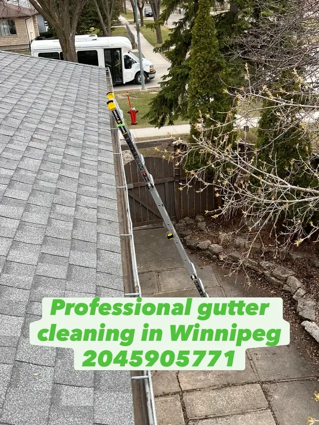 Affordable Gutter cleaning & FREE Roof inspection