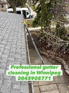 Affordable Gutter cleaning & FREE Roof inspection