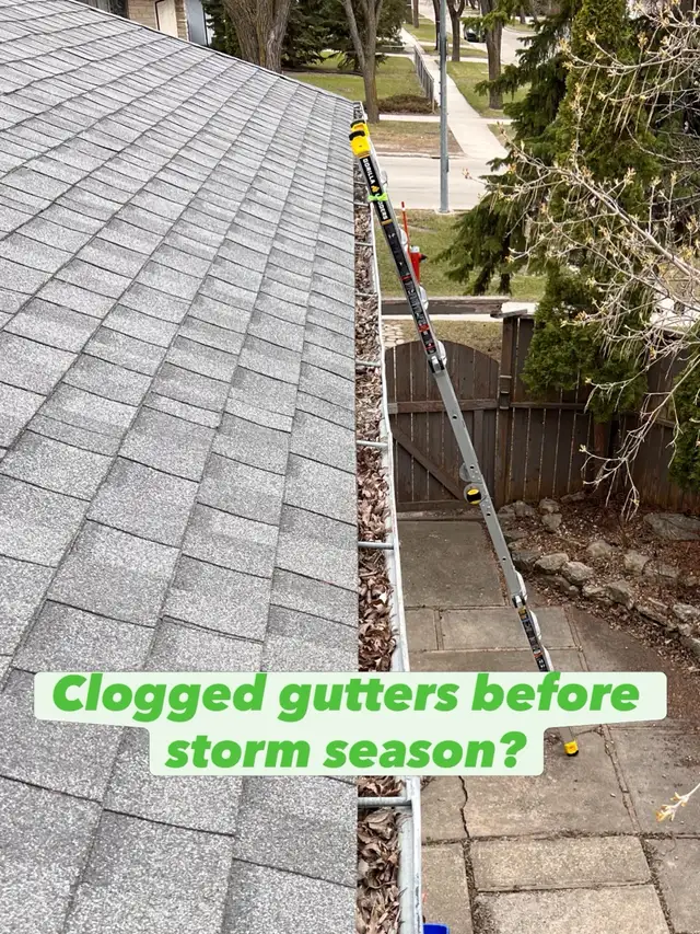 Affordable Gutter cleaning & FREE Roof inspection - Photo 2