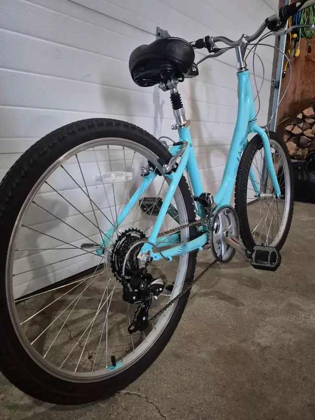 Womens Bicycle - Photo 2
