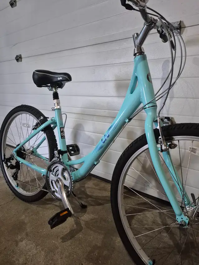Womens Bicycle - Photo 3