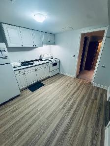 Basement apartment - Photo 2