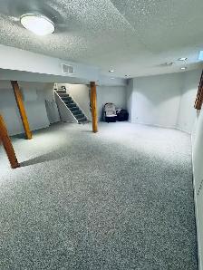 Basement apartment - Photo 3