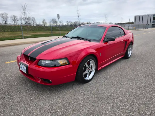1999 FORD MUSTANG COBRA SVT