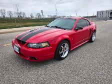 1999 FORD MUSTANG COBRA SVT