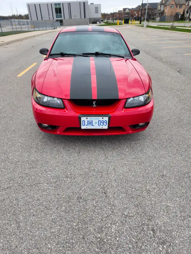 1999 FORD MUSTANG COBRA SVT - Photo 2
