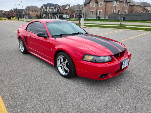 1999 FORD MUSTANG COBRA SVT - Photo 3