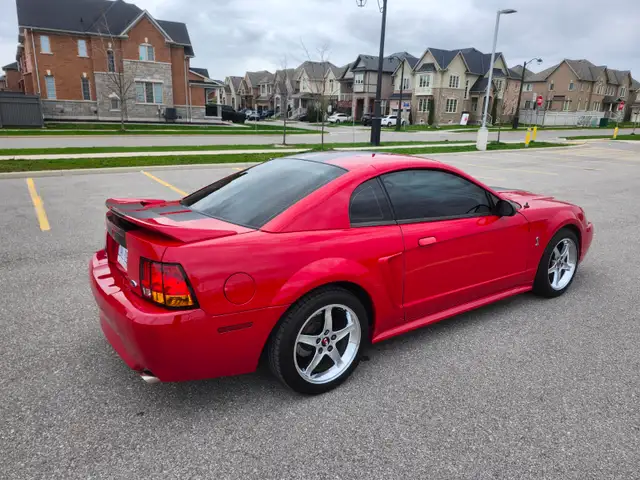 1999 FORD MUSTANG COBRA SVT - Photo 4
