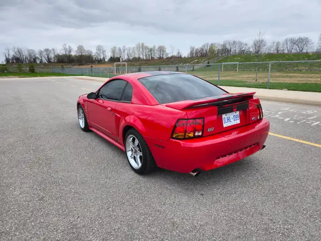 1999 FORD MUSTANG COBRA SVT - Photo 5