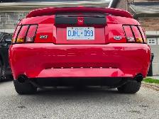 1999 FORD MUSTANG COBRA SVT - Photo 10