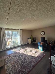 1 Bed 1 Bath - $1,510