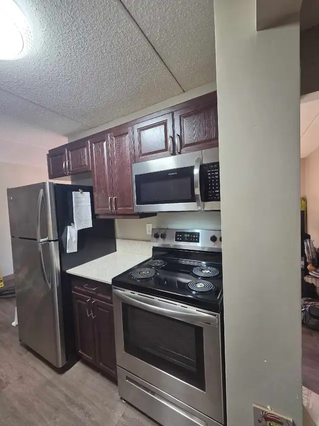 1 Bed 1 Bath - $1,510 - Photo 3