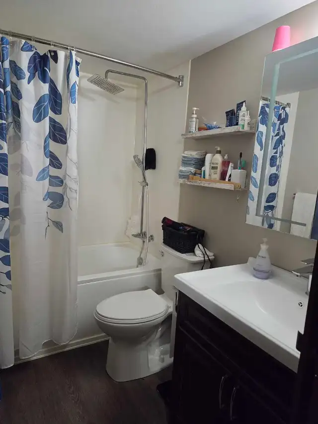 1 Bed 1 Bath - $1,510 - Photo 6