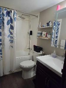 1 Bed 1 Bath - $1,510 - Photo 6