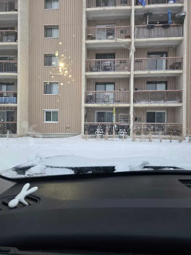 1 Bed 1 Bath - $1,510 - Photo 8