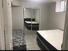 Basement Room for Rent in Brampton - Photo 5