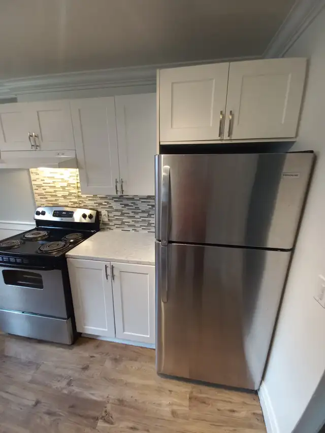 1 & 2 BEDROOM APARTMENT (LEAMINGTON, ON)