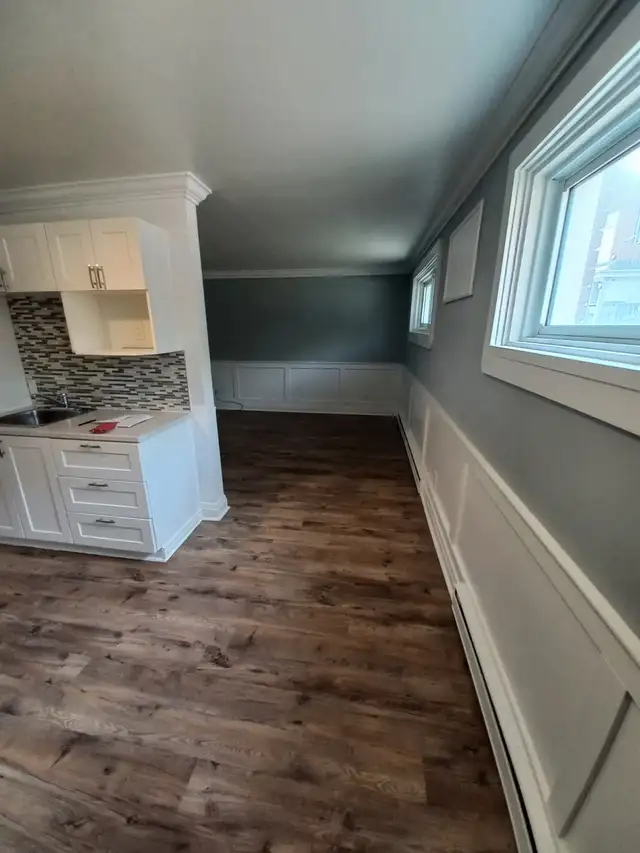1 & 2 BEDROOM APARTMENT (LEAMINGTON, ON) - Photo 3