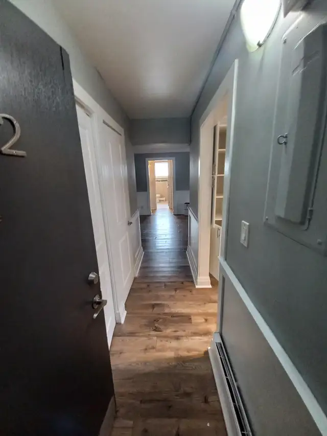 1 & 2 BEDROOM APARTMENT (LEAMINGTON, ON) - Photo 4