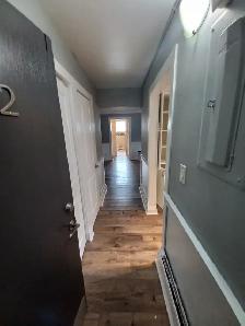 1 & 2 BEDROOM APARTMENT (LEAMINGTON, ON) - Photo 4