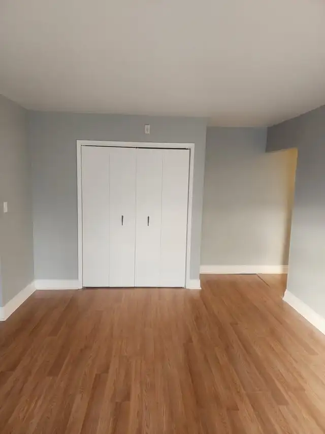 1 & 2 BEDROOM APARTMENT (LEAMINGTON, ON) - Photo 14