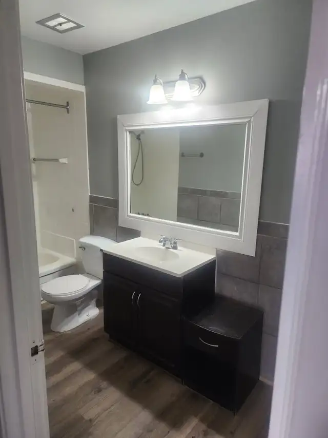 1 & 2 BEDROOM APARTMENT (LEAMINGTON, ON) - Photo 16