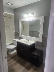 1 & 2 BEDROOM APARTMENT (LEAMINGTON, ON) - Photo 16