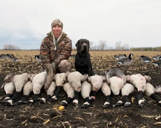 CKC Registered  Labrador Retriever Puppies - Photo 8