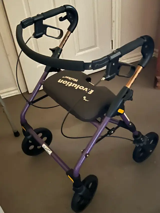 walker/seat