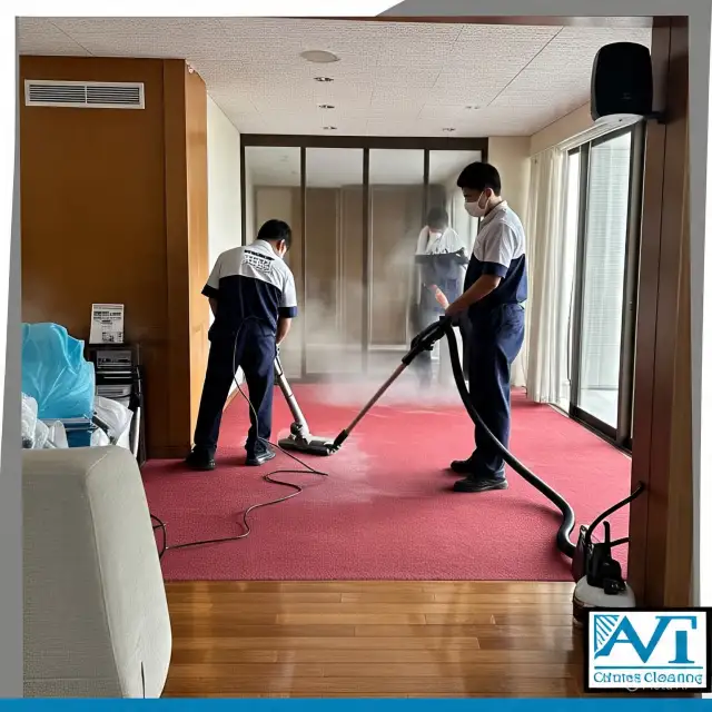 Duct cleaning, Carpet cleaner, Carpet cleaning, Steam 6474923273 - Photo 2