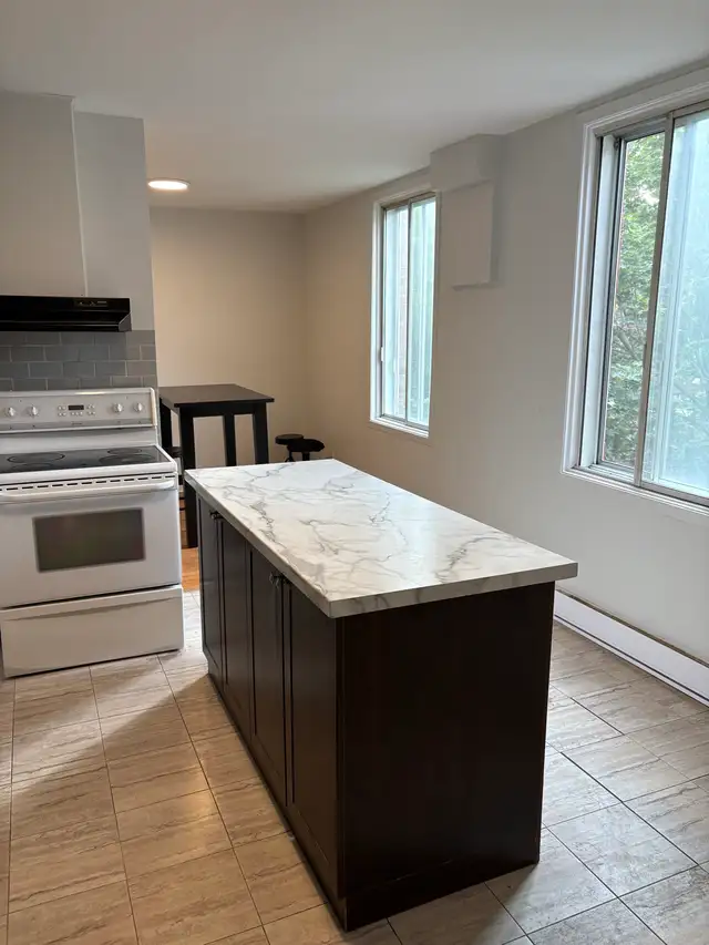 De Lorimier.. 3 Bedroom   Office…6 1/2…Ville Marie - Photo 2