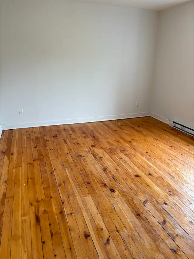 De Lorimier.. 3 Bedroom   Office…6 1/2…Ville Marie - Photo 7