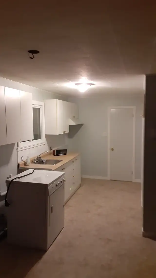 Renovated 1 bedroom appartement for rent