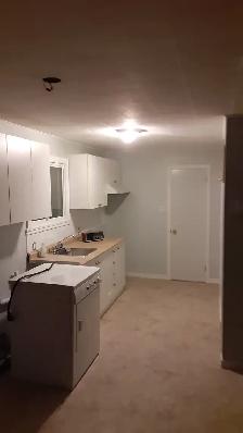 Renovated 1 bedroom appartement for rent