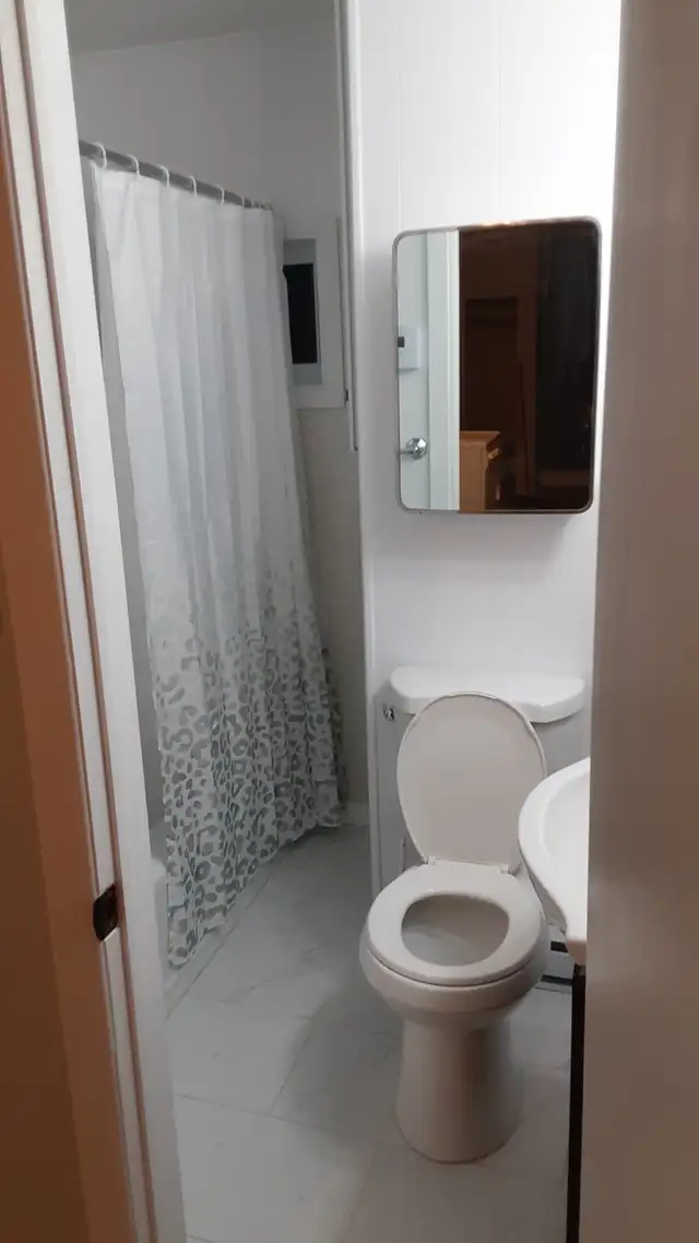 Renovated 1 bedroom appartement for rent - Photo 4