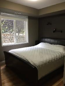 executive style condo for rent - Photo 6