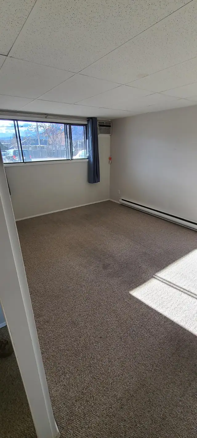 MAIN FLOOR – 1 BDRM – CAT FRIENDLY - Photo 2