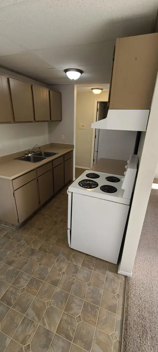 MAIN FLOOR – 1 BDRM – CAT FRIENDLY - Photo 3