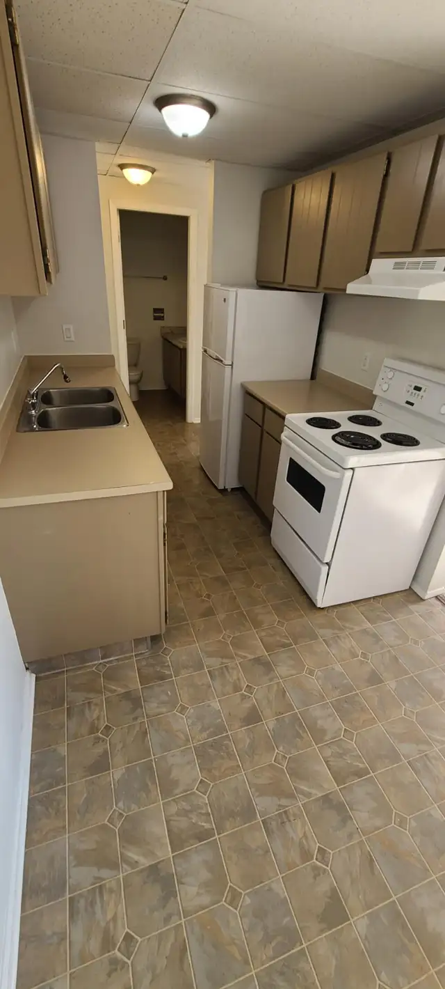 MAIN FLOOR – 1 BDRM – CAT FRIENDLY - Photo 4