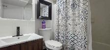 Furnished 1-Bed Basement Apartment- Available - Photo 9