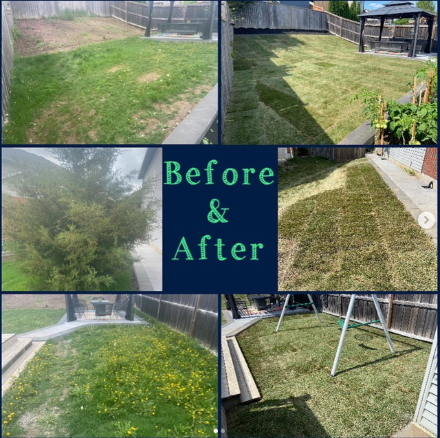 Landscaping Services - Photo 4