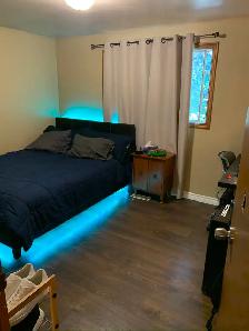 Room available near Conestoga Doon Campus from June 1