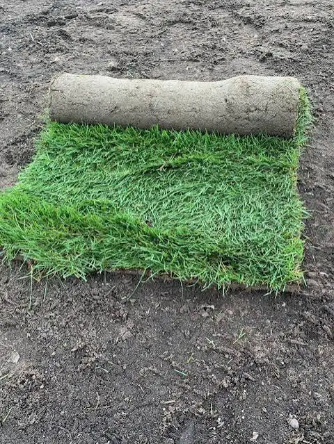 Professional Sod Installation Service - Photo 2