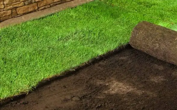 Professional Sod Installation Service - Photo 3